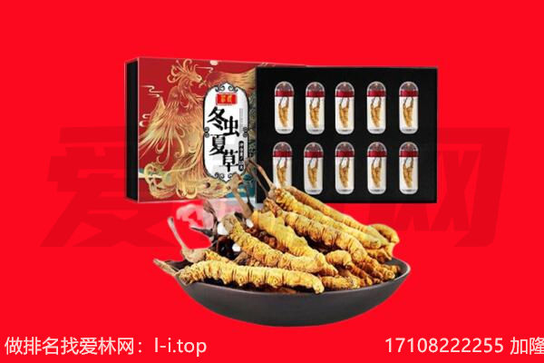 阿拉山口市回收虫草.jpg